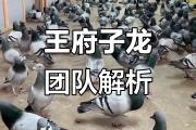 开云体育中国-南非羽毛球队夺冠，实力不容小觑的简单介绍