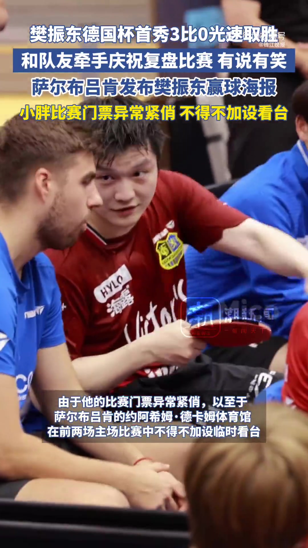 德国乒乓球队力克比利时乒乓球队，樊振东制霸全场的简单介绍