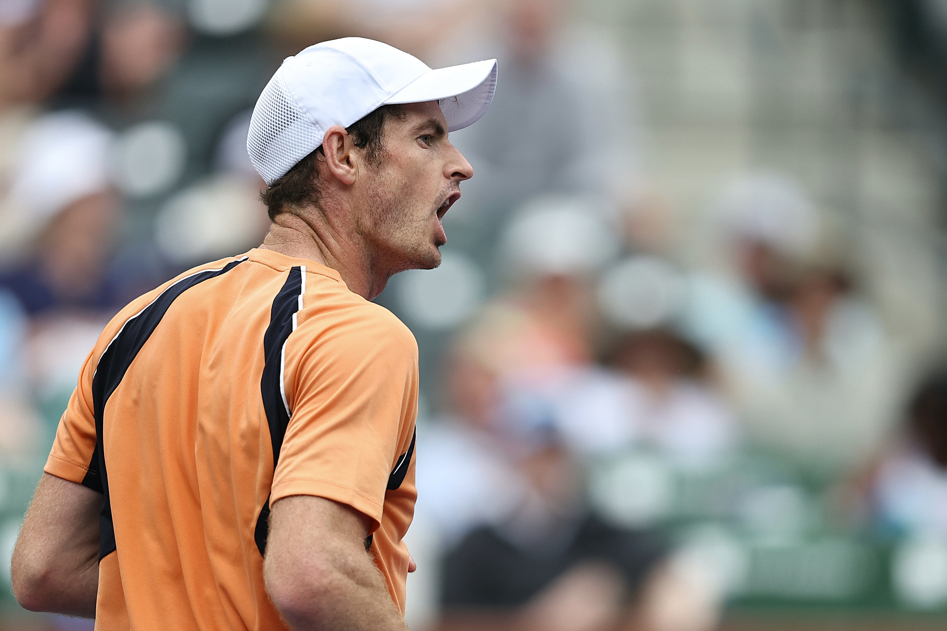 欧洲网球队强势世界网球队,穆雷统治全场的简单介绍 欧洲网球队强势世界网球队,穆雷统治全场的简单介绍