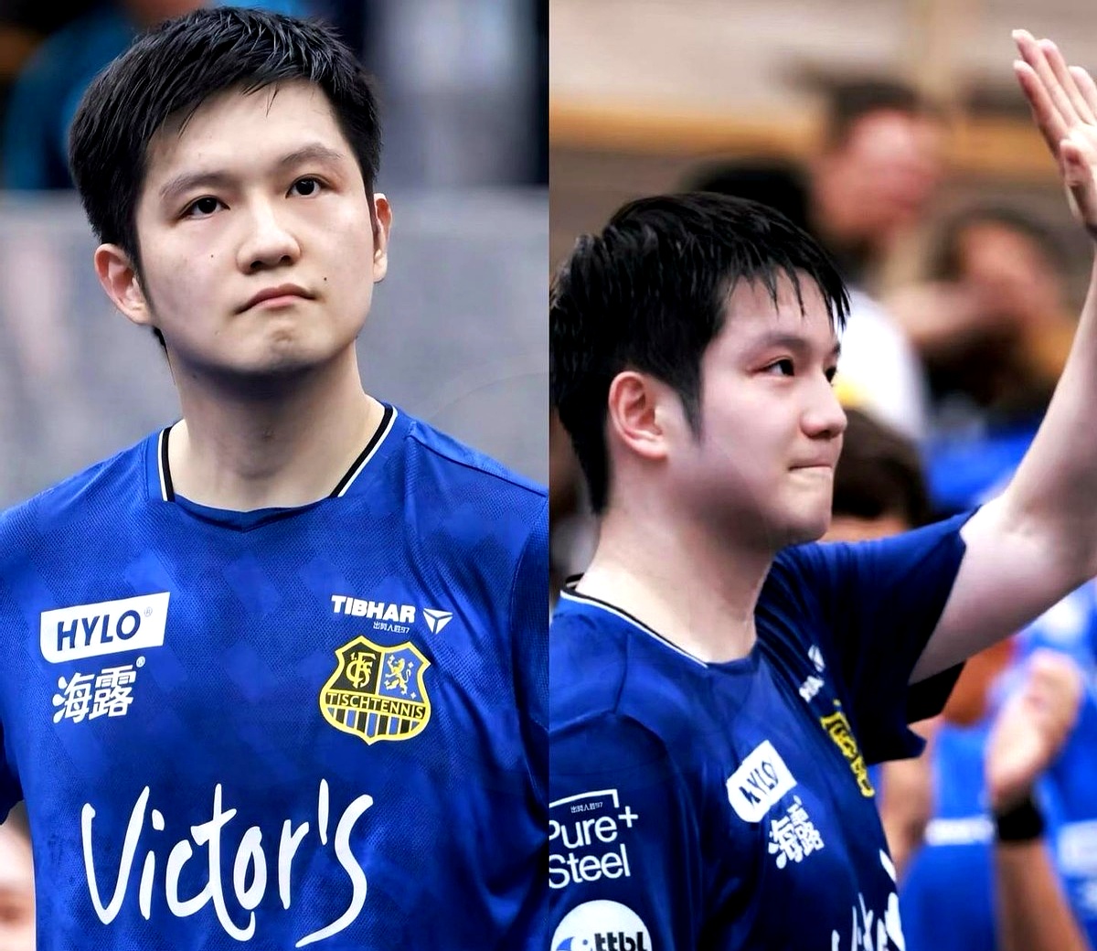 韩国队完胜德国队,樊振东高光表现 韩国队完胜德国队,樊振东高光表现