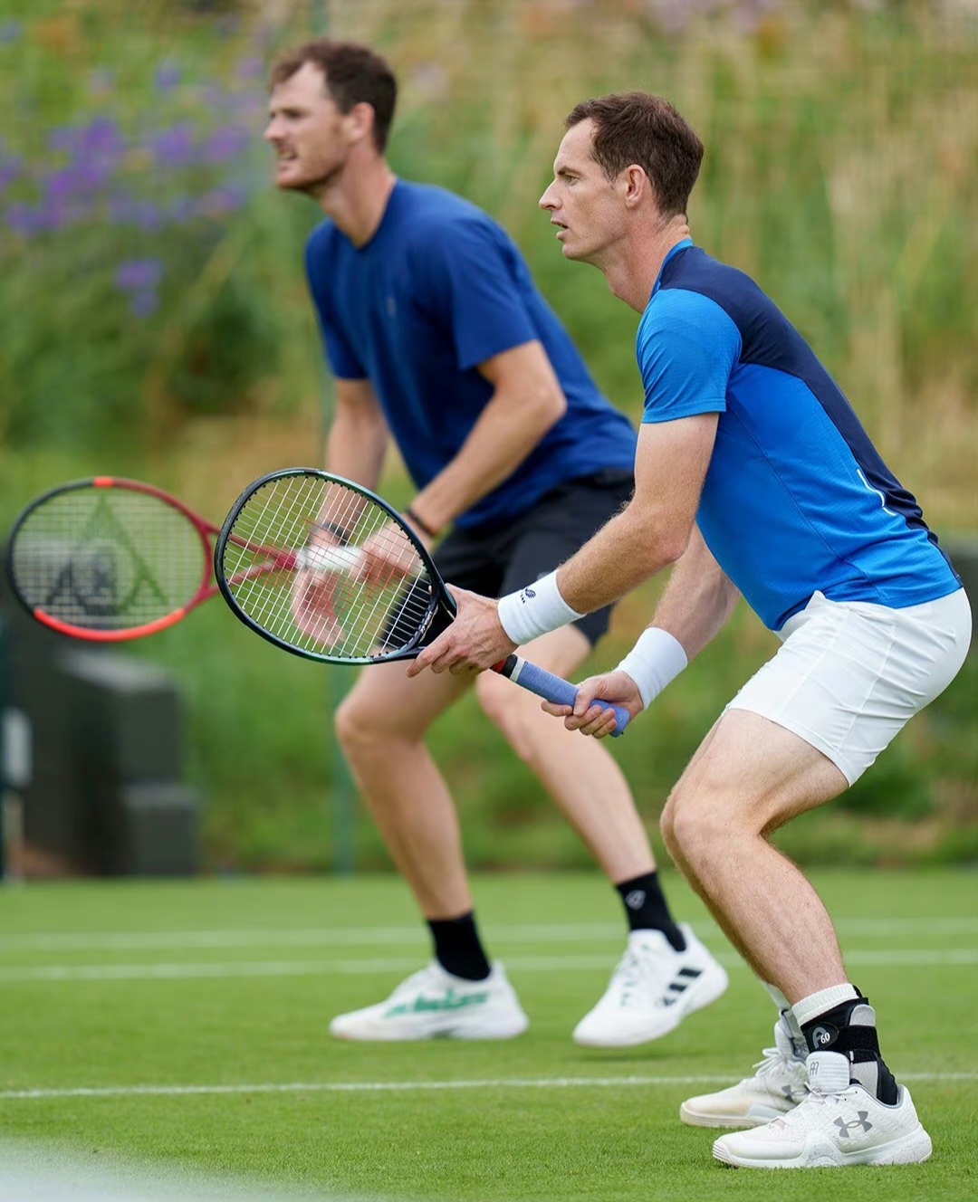 温网碾压法网,蒂姆统治全场 温网碾压法网,蒂姆统治全场