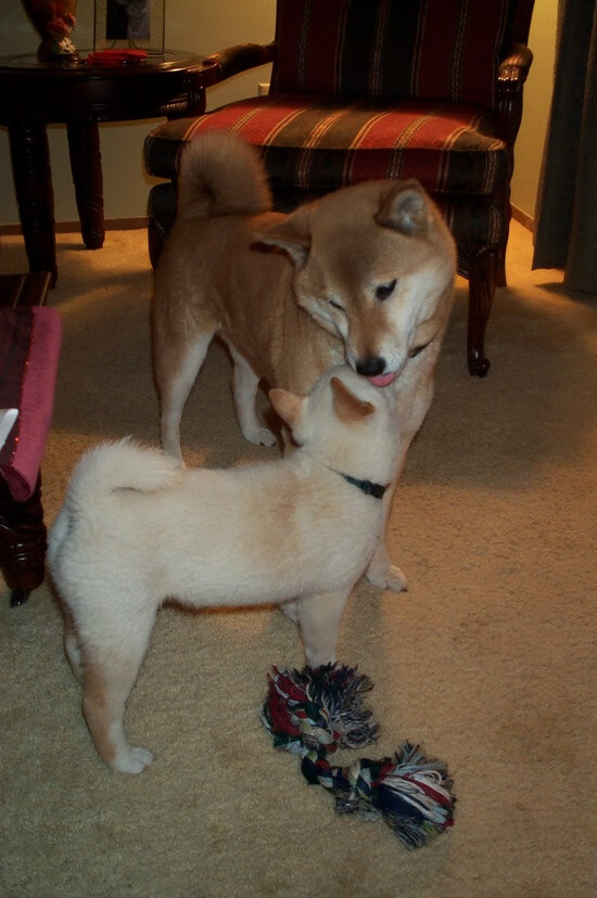 棋局与乐章，世界排名争夺战之夜，莫德里奇的攻防转换艺术