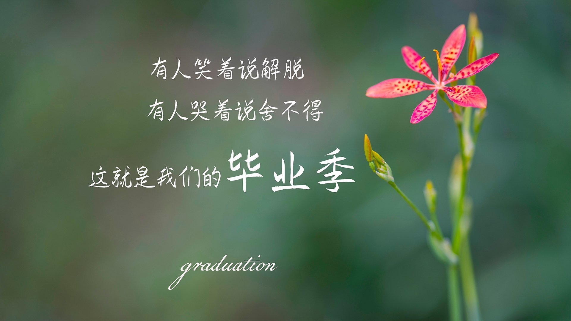 紫百合横扫雷恩，弗拉霍维奇独揽乾坤，一位射手在世界排名争夺战中的宣言