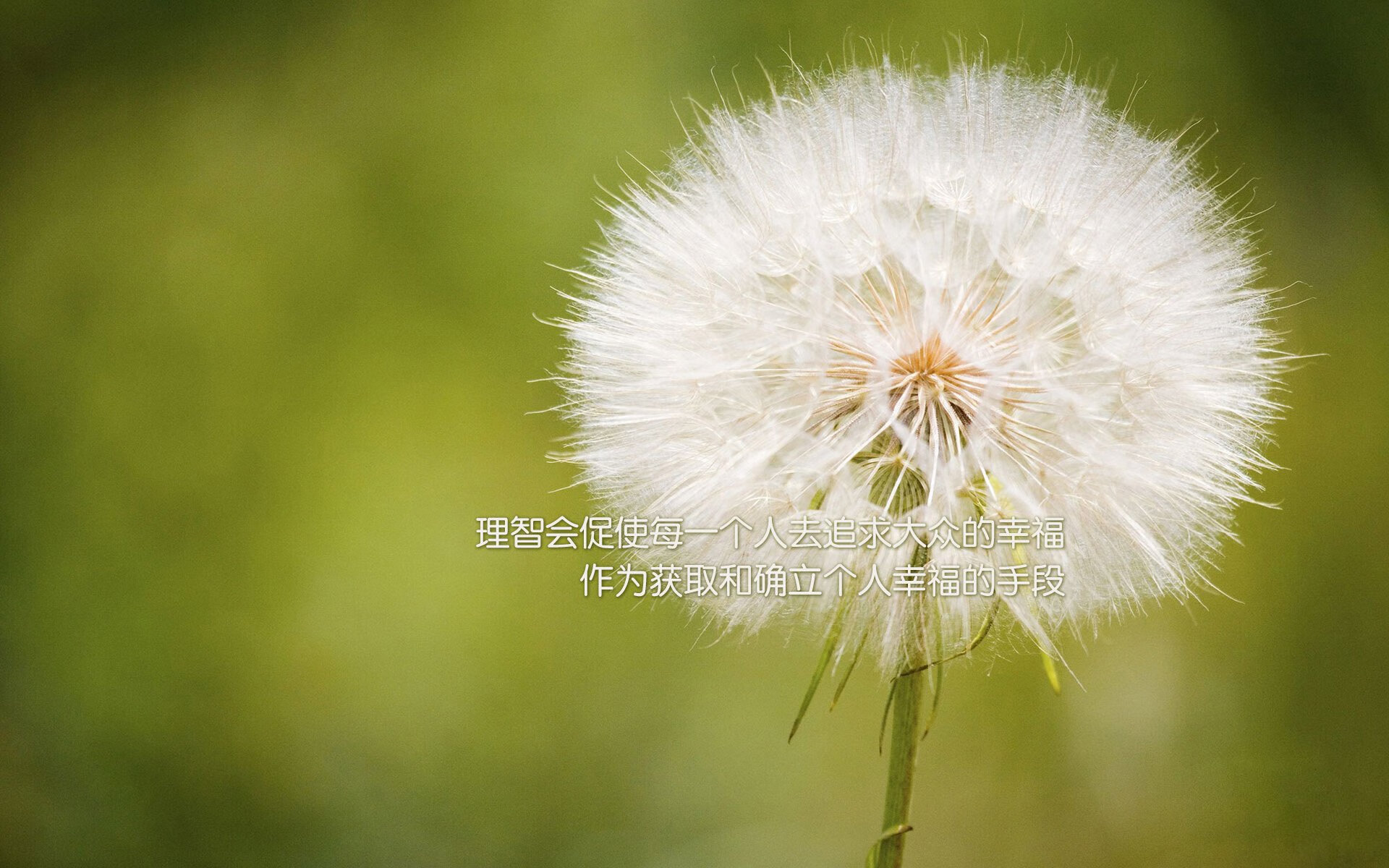 凯恩里程碑之夜，比利亚雷亚尔大胜玻利维亚，足球世界的双重荣耀