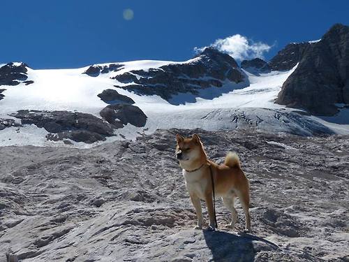 欧冠半决赛之夜，福克斯存在感拉满，技术与激情共舞