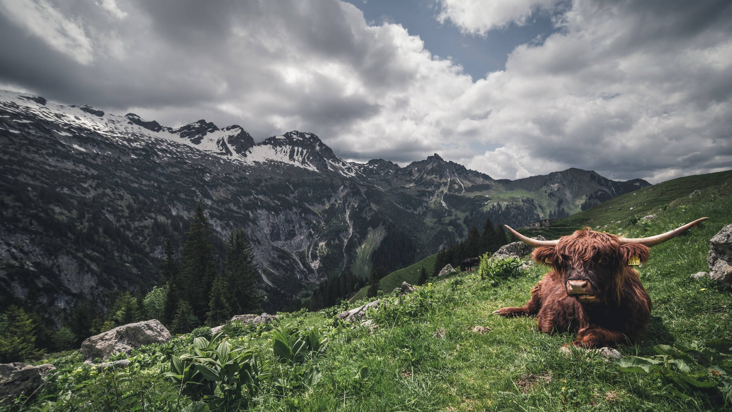 关键时刻稳如磐石,切特定乾坤,太阳收割深圳队