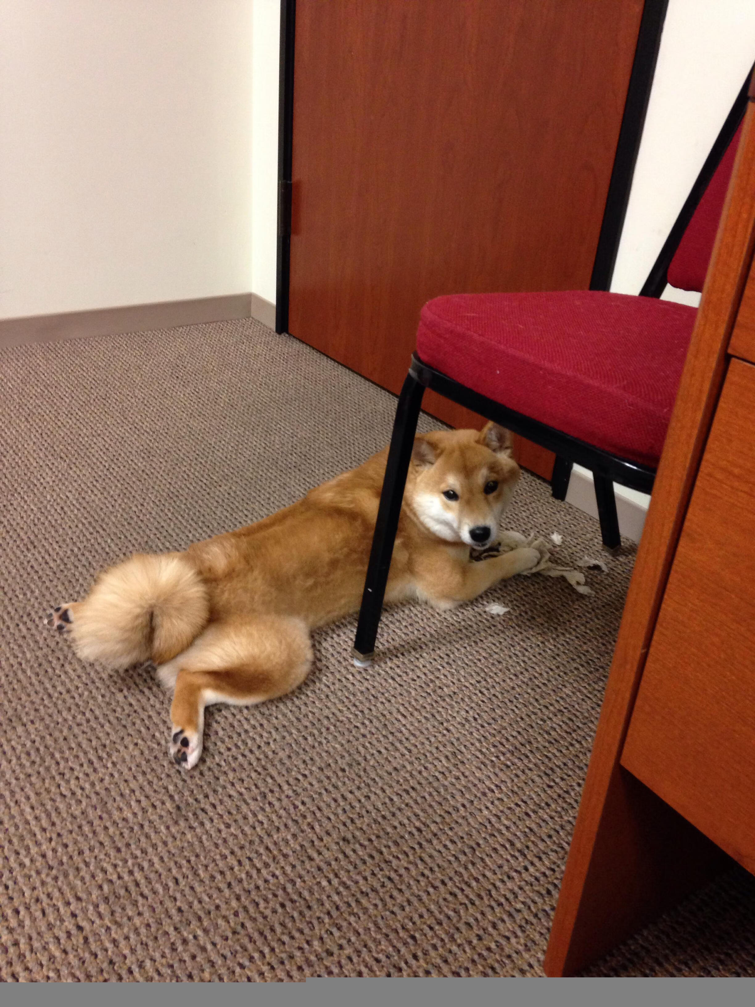 加时鏖战!贝蒂斯力克东亚劲旅,世界排名争夺战再燃欧陆烽烟