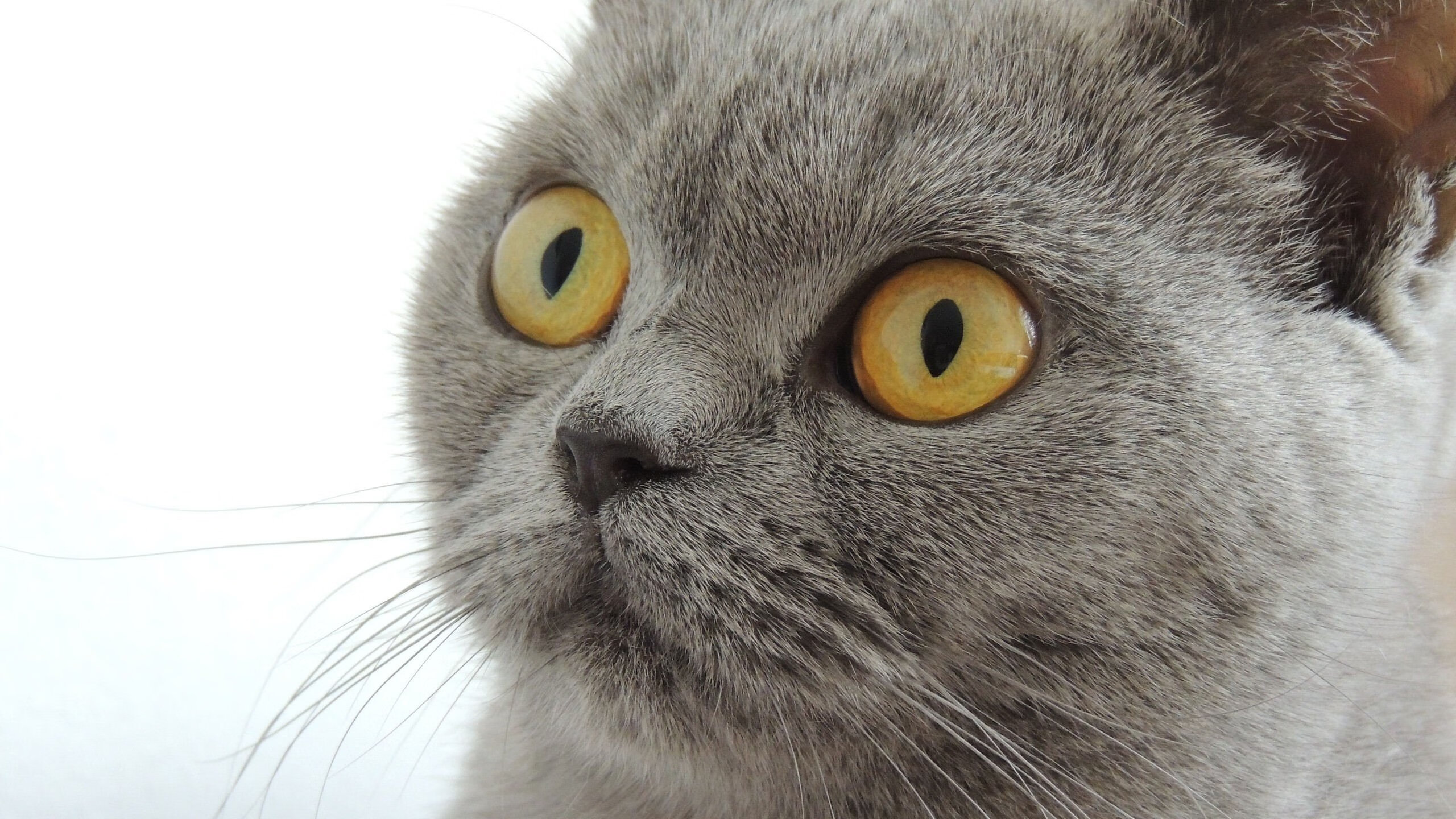 极寒之地的热舞,当芬兰血拼牙买加,梅西在何处拉满评分?