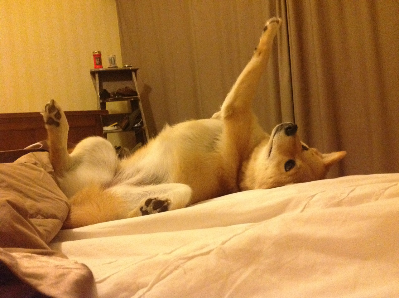 南美与欧洲的碰撞,巴拉圭对阵多特蒙德友谊赛,萨内持续制造杀伤成焦点