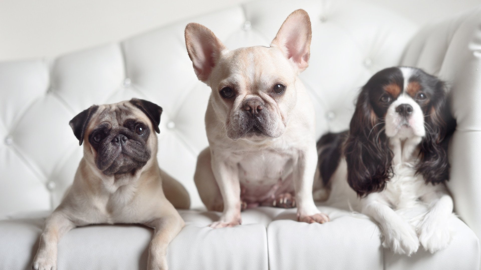 深蓝风暴席卷加勒比，阿坎吉的节奏魔法如何碾碎牙买加