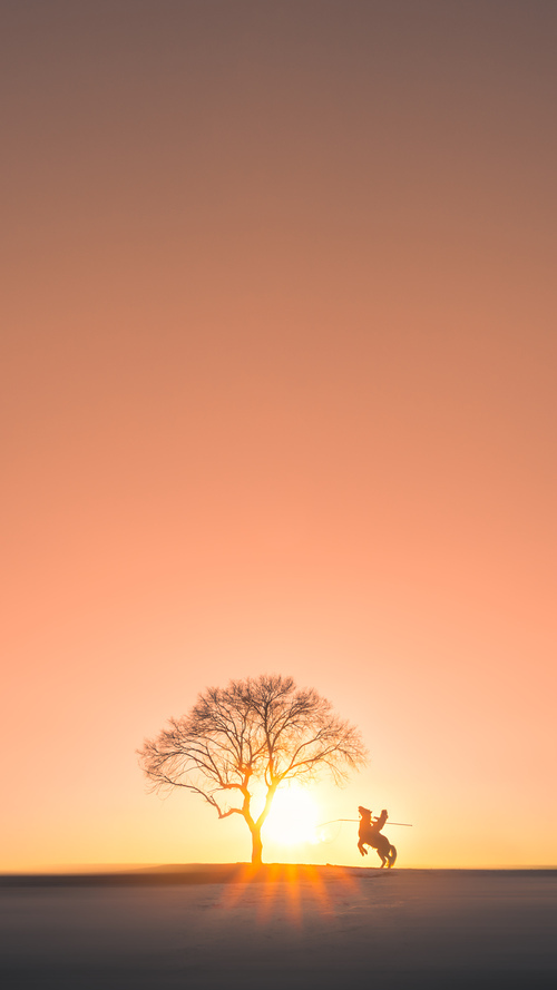 战术绞索,雷恩的精密压制如何让阿尔及利亚窒息,奥利维耶统治级数据背后的权力密码