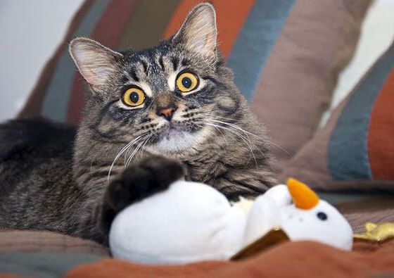 横跨欧亚的篮球烽火，新疆队鏖战活塞的平行时空激战