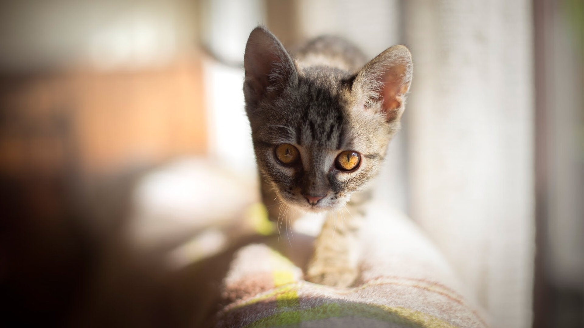 青春风暴撕裂防线,钢铁森林碾压战场,当进攻美学遭遇战术压迫